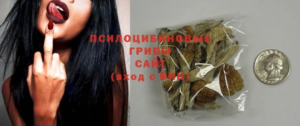 меф Арсеньев