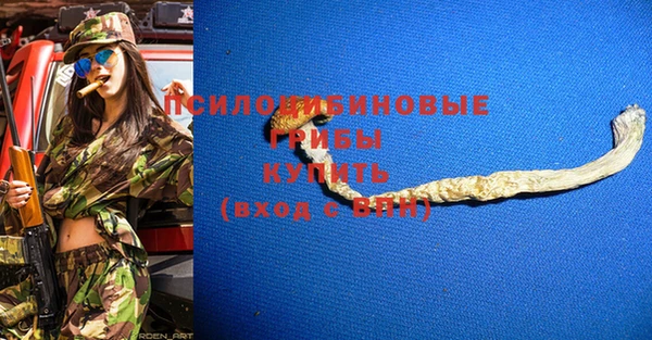 меф Арсеньев