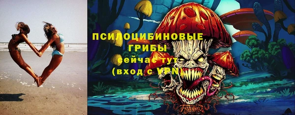 твердый Аркадак