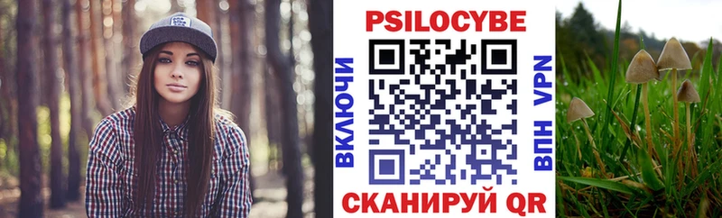 Псилоцибиновые грибы мицелий  Купить закладки  Дагестанские Огни 