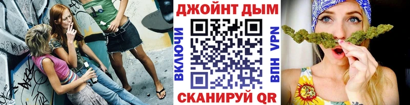 Бошки марихуана сатива Дагестанские Огни